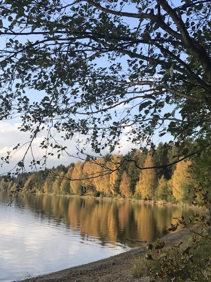 Vila Dům na Lipně Lipno nad Vltavou Exteriér fotografie